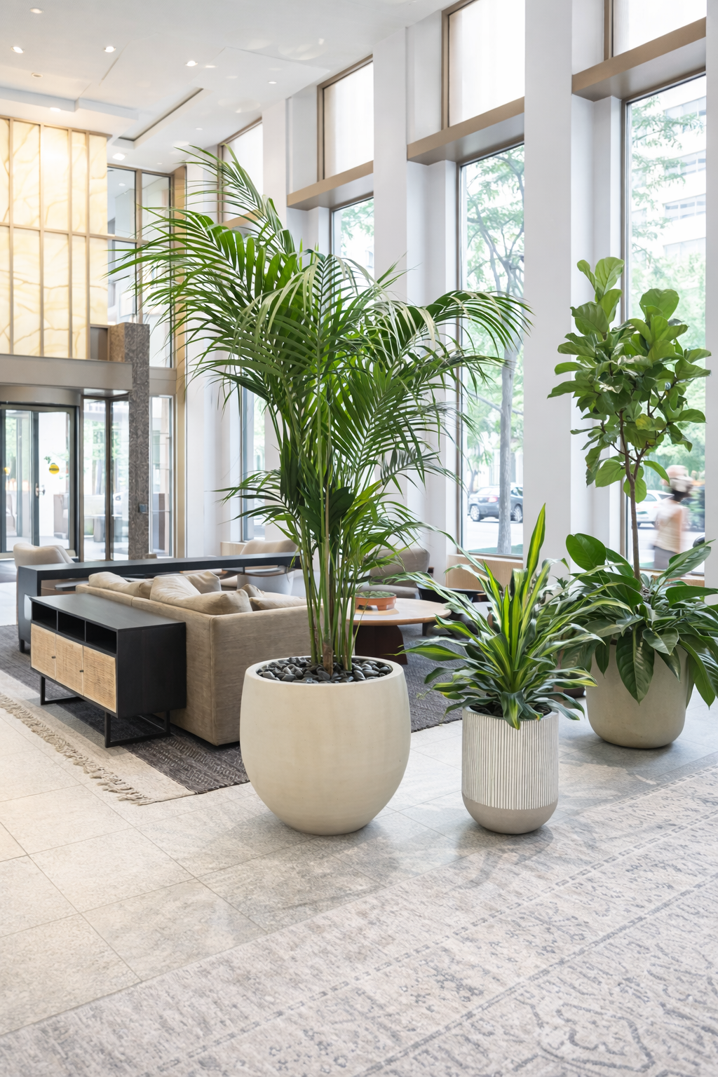 Hall d'entrée d'entreprise végétalisé avec plantes vertes par Verd à Paris