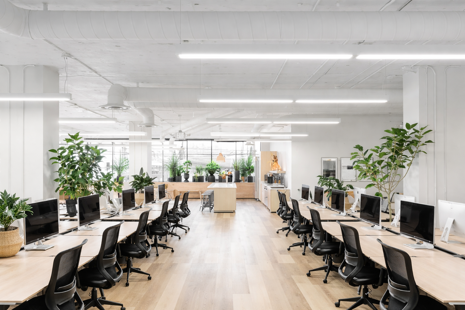 Espace collaboratif végétalisé — aménagement végétal Verd Paris