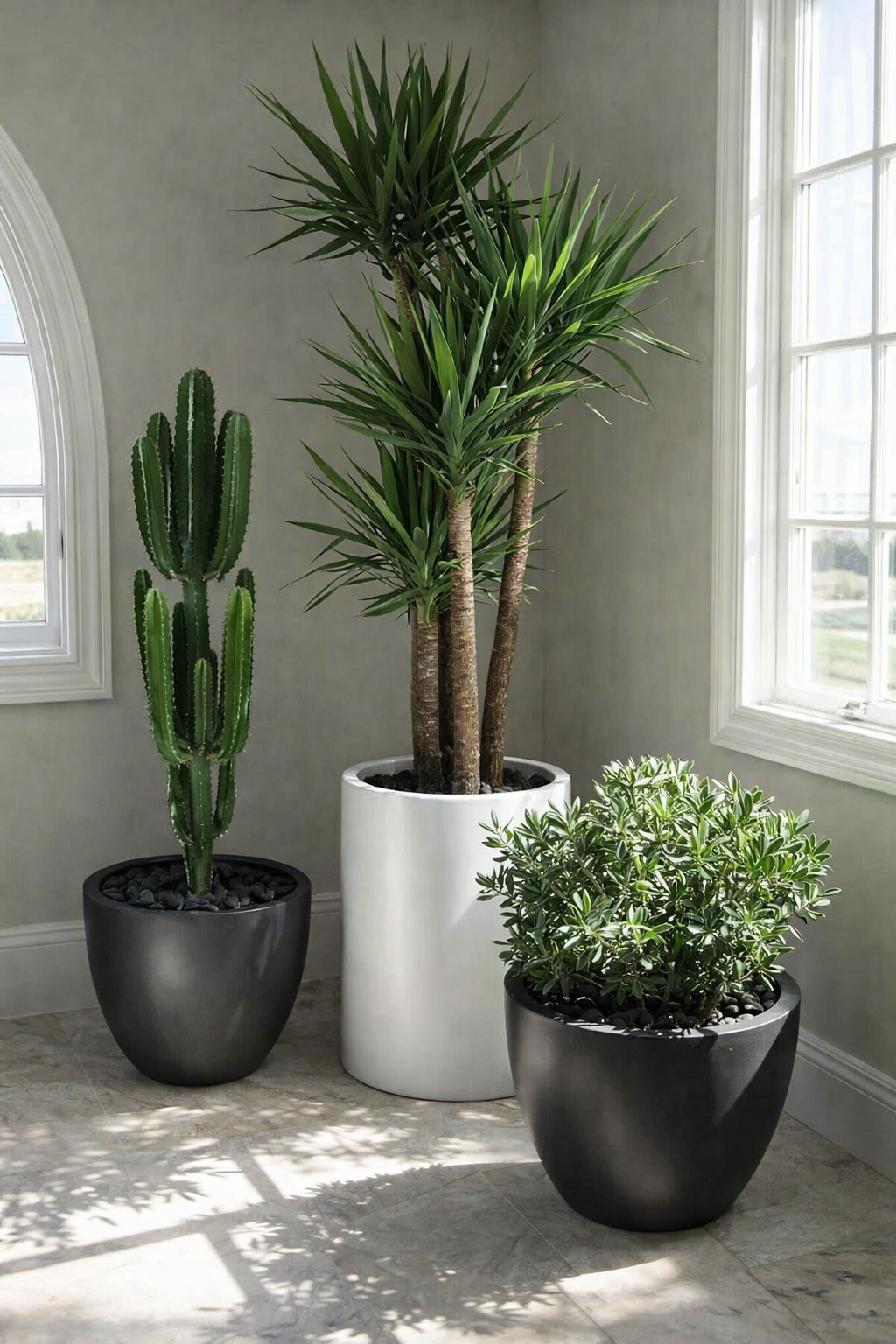 Plantes de bureaux individuels — végétalisation sur-mesure par Verd