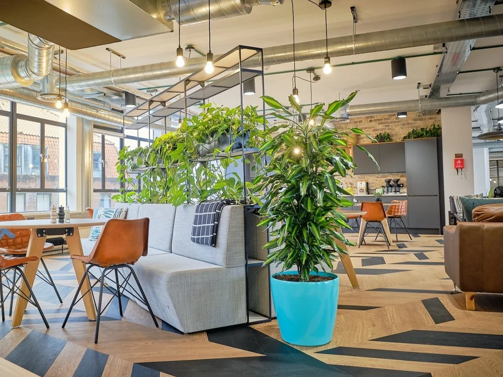 Restaurant d'entreprise végétalisé avec plantes vertes — Verd Paris