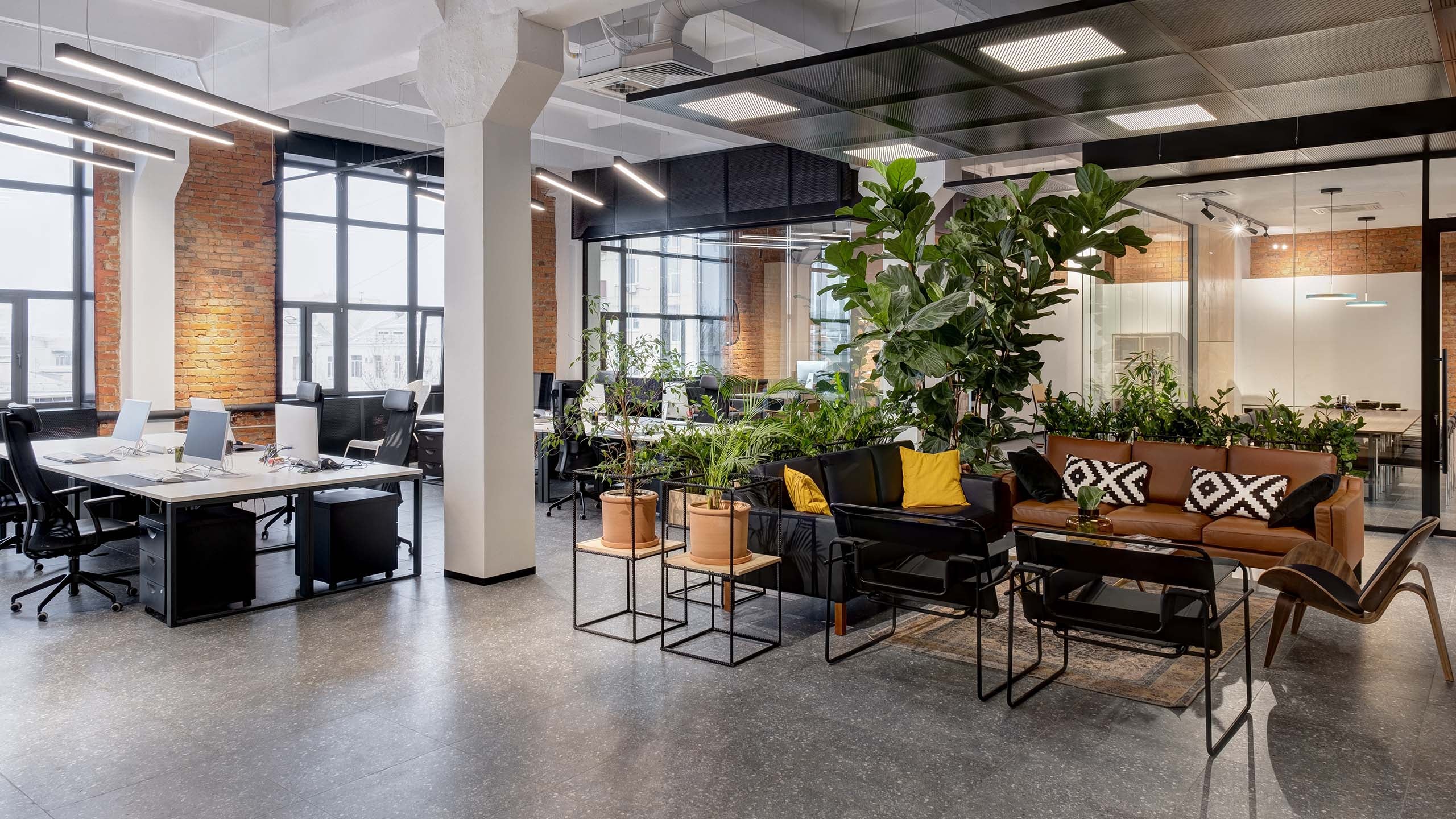 Végétalisation d'open space — location de plantes pour bureaux Verd